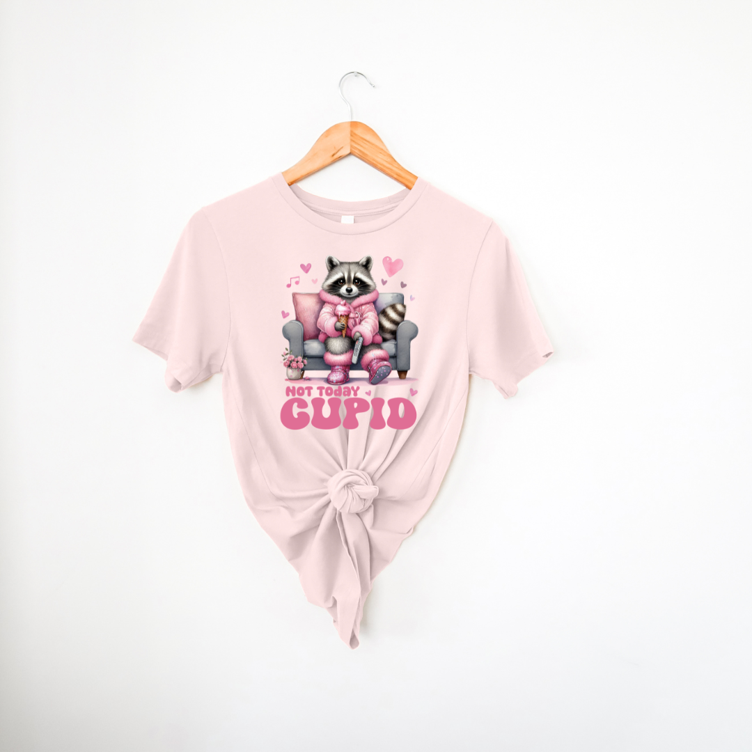 Not Today Cupid |T-Shirt or Sweatshirt