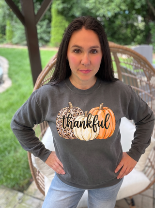 Thankful Trio Pumpkins Sweatshirt