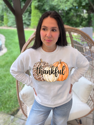 Thankful Trio Pumpkins Sweatshirt