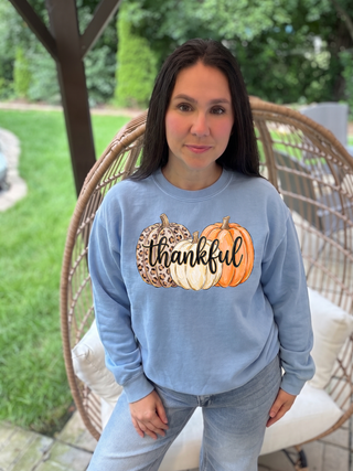 Thankful Trio Pumpkins Sweatshirt