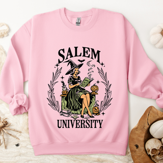 Salem University Sweatshirt