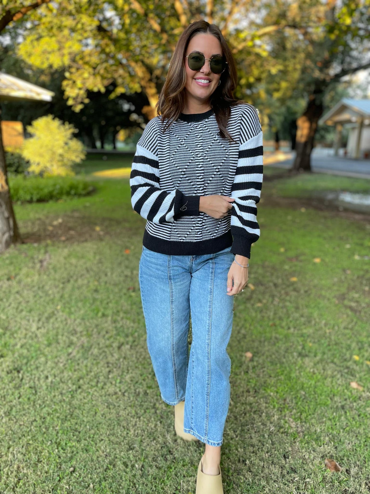 PREORDER: Aspen Striped Sleeve Sweater in Four Colors MadreForte LLC