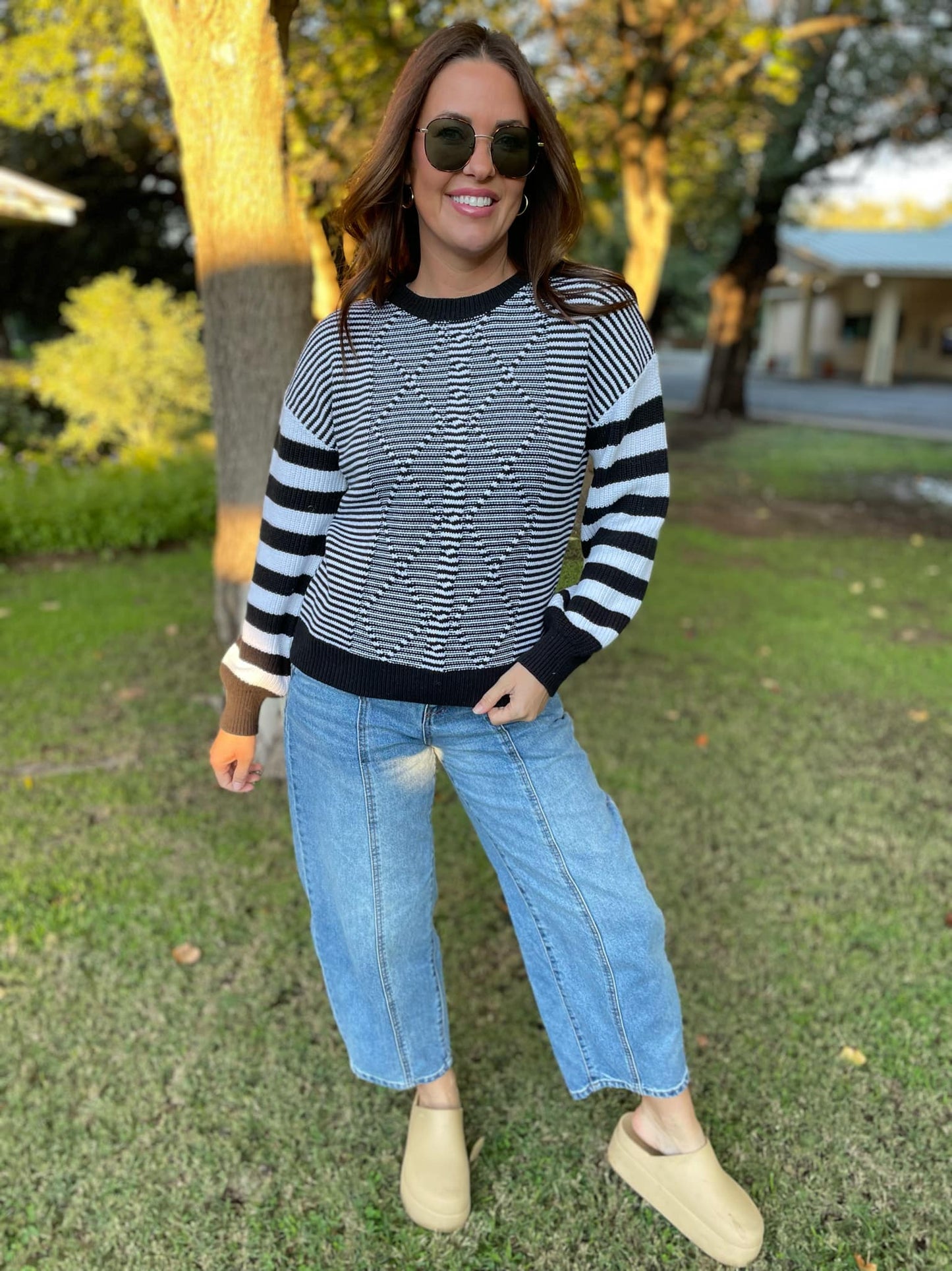 PREORDER: Aspen Striped Sleeve Sweater in Four Colors MadreForte LLC