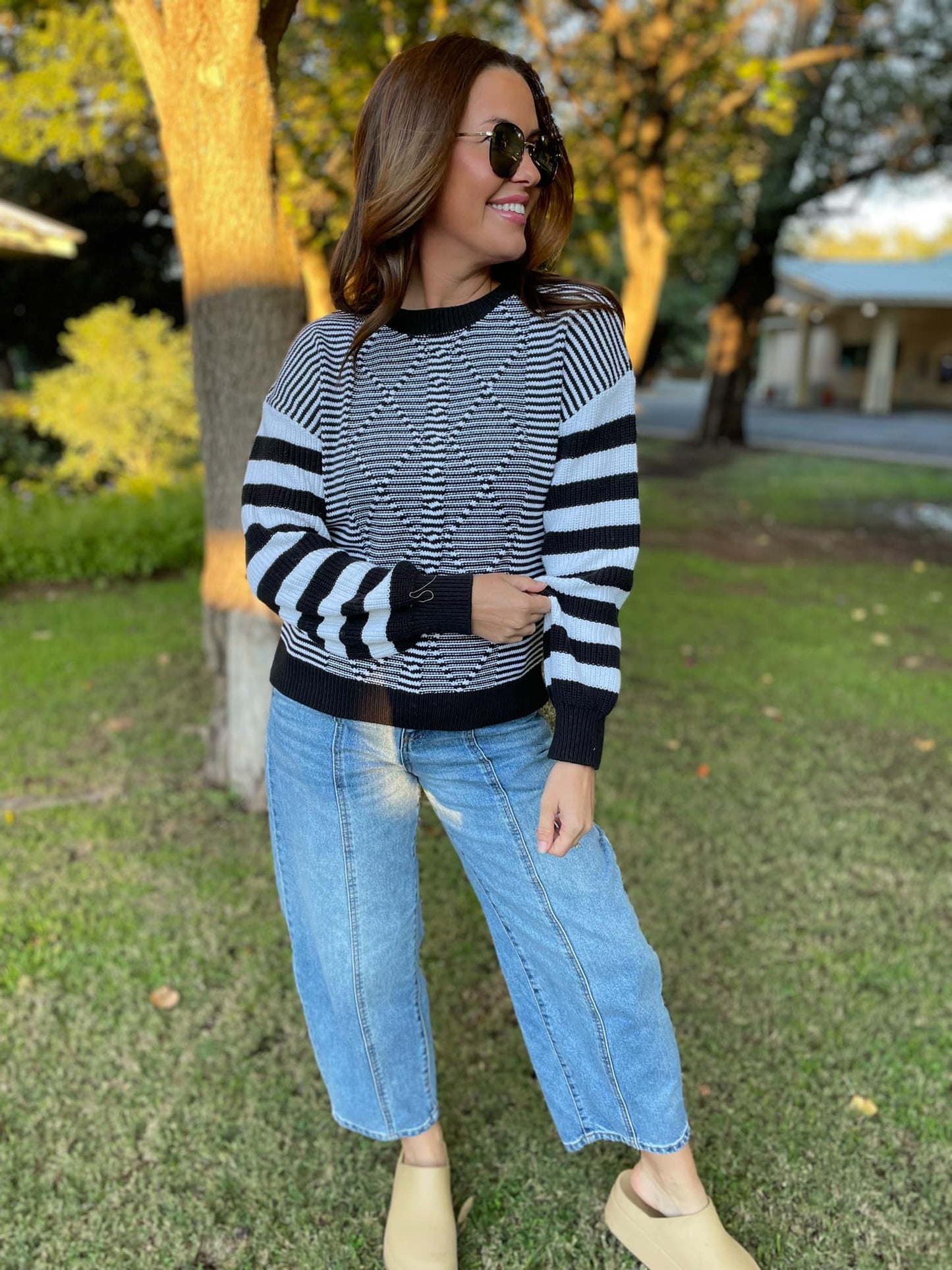 PREORDER: Aspen Striped Sleeve Sweater in Four Colors MadreForte LLC