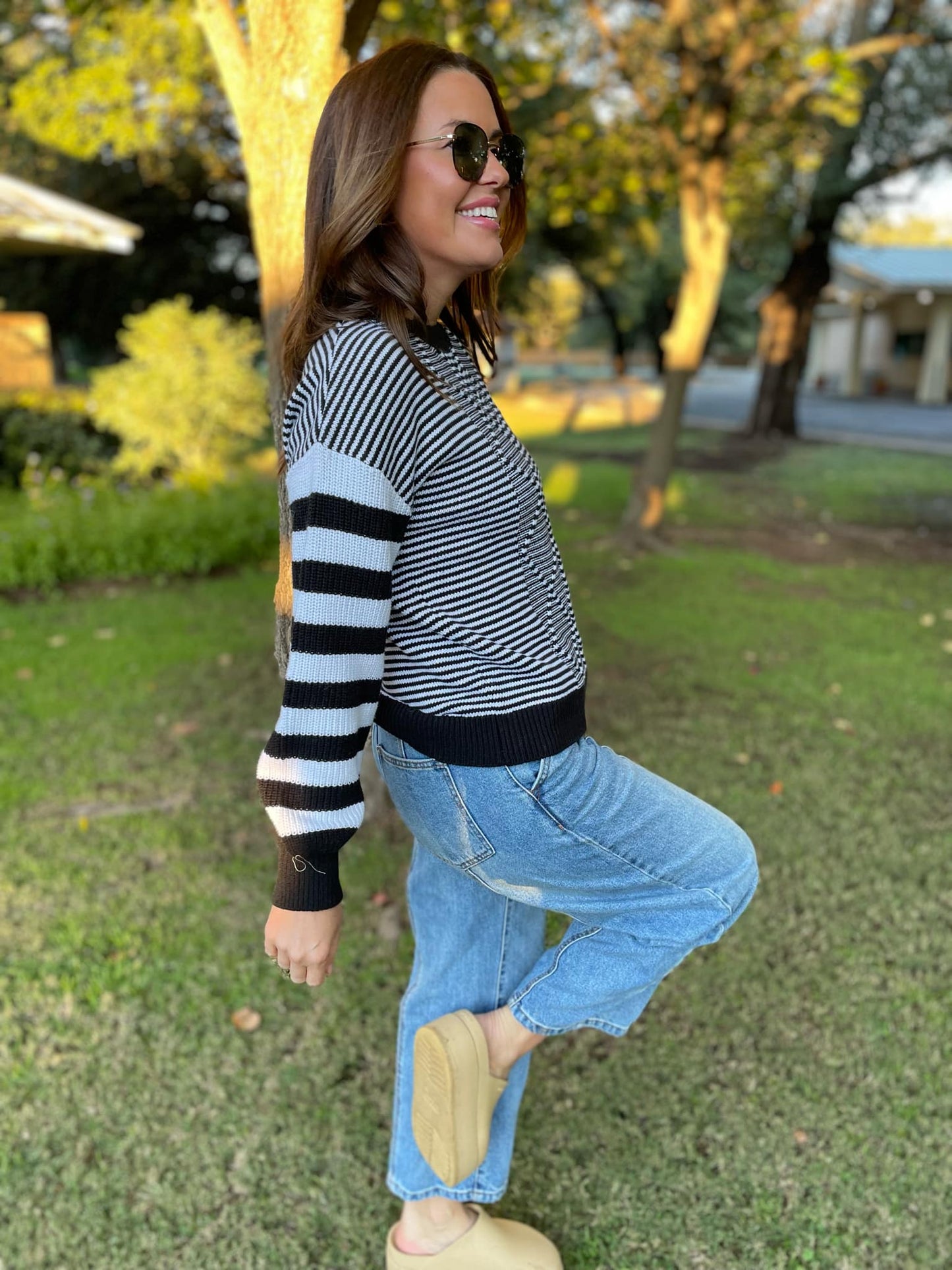 PREORDER: Aspen Striped Sleeve Sweater in Four Colors MadreForte LLC