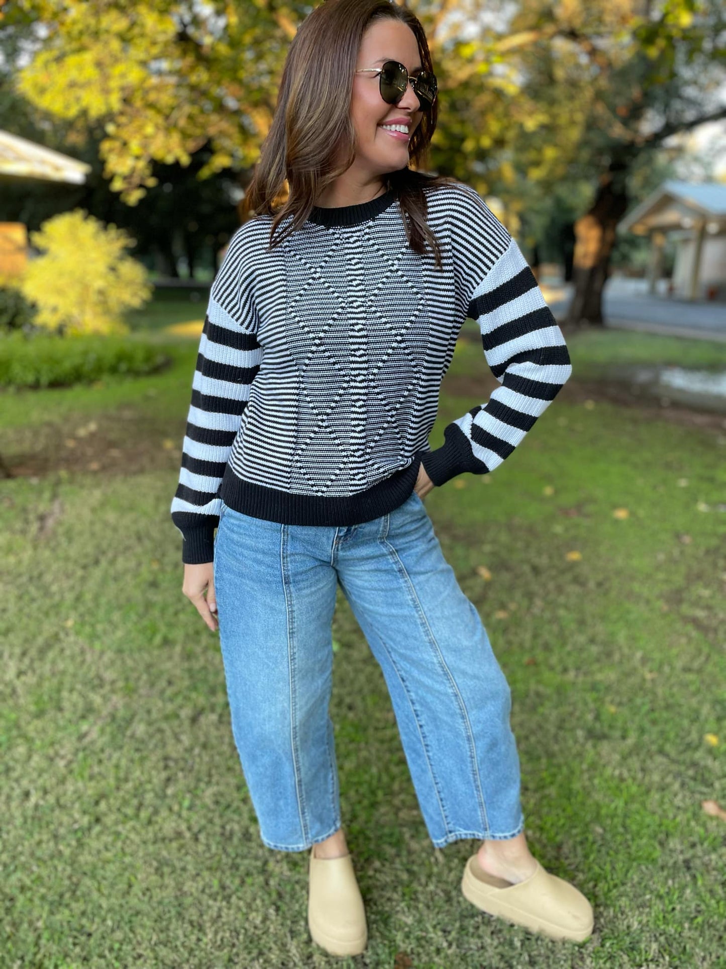 PREORDER: Aspen Striped Sleeve Sweater in Four Colors MadreForte LLC