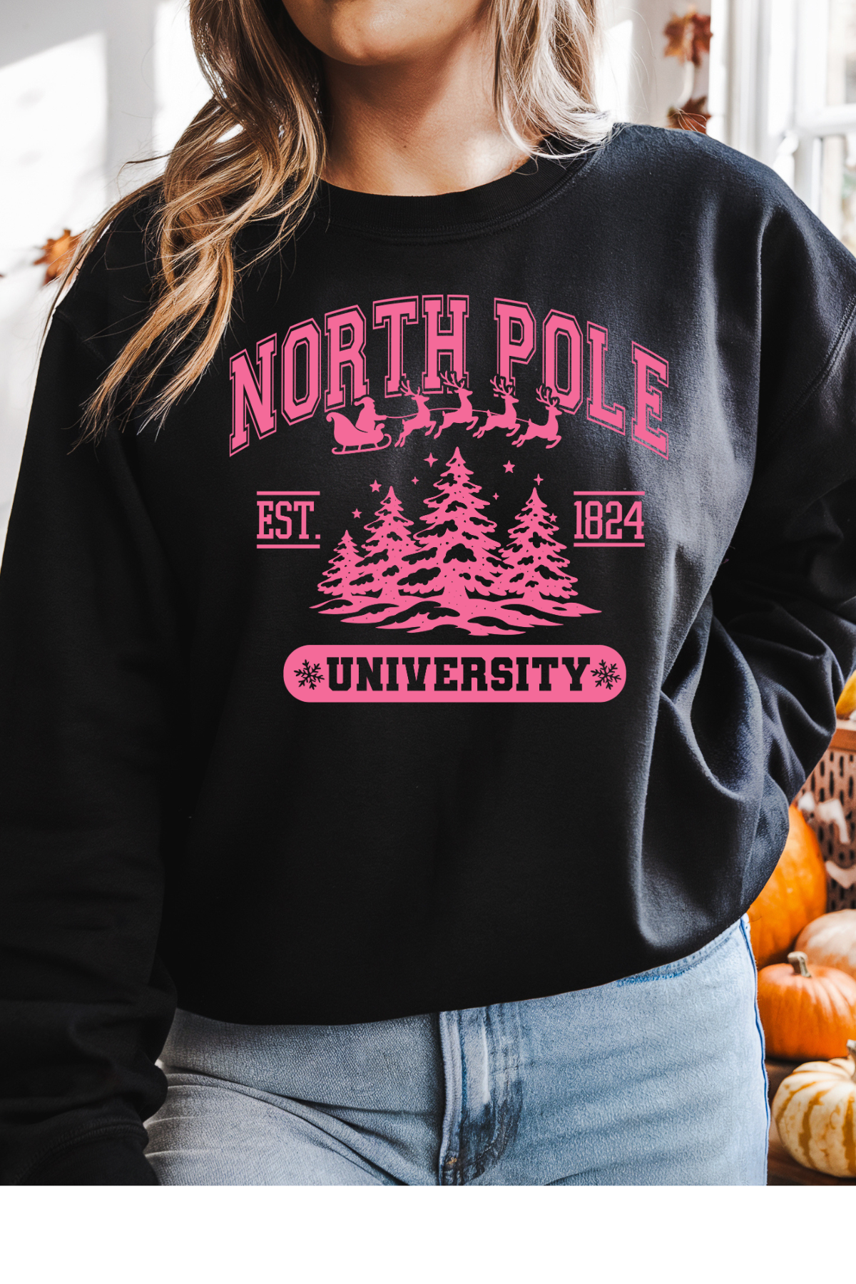 North Pole Sweatshirt