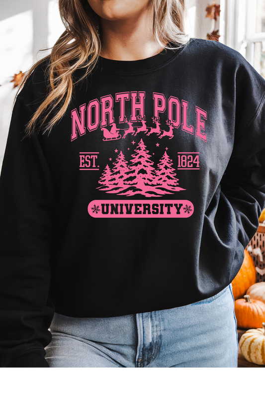 North Pole Sweatshirt