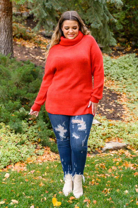 Steady Pace Roll Neck Sweater In Red MadreForte LLC